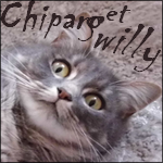 avatar de Chiparo