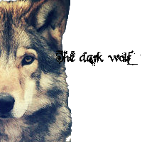avatar de Thedarkwolf