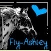 avatar de Fly-Ashley