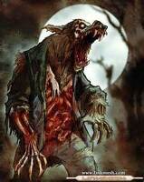 avatar de zombie-werewolf