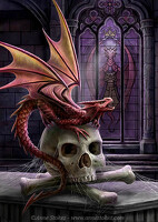 avatar de DarkDreams