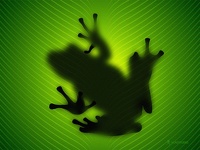 avatar de grenouille63