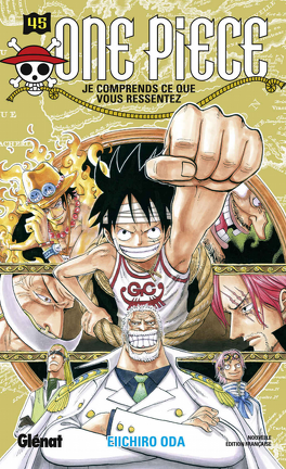 One Piece : il réunit tous les tomes dans un seul volume de 21 000