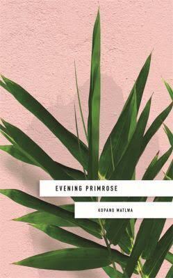 Couverture de Evening Primrose