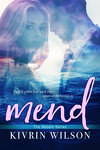 Mend #2 The Waters Series
