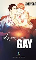 Leçons à un gay