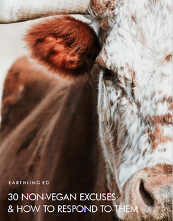 Couverture de 30 Non-Vegan Excuses & How to Respond to Them
