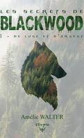 Les Secrets de Blackwood, Tome 1 : De lune et d'argent