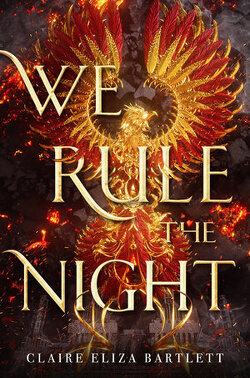 Couverture de We rule the night