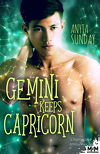 L'Horoscope amoureux, Tome 3 : Gemini Keeps Capricorn