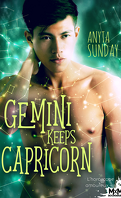 L'Horoscope amoureux, Tome 3 : Gemini Keeps Capricorn