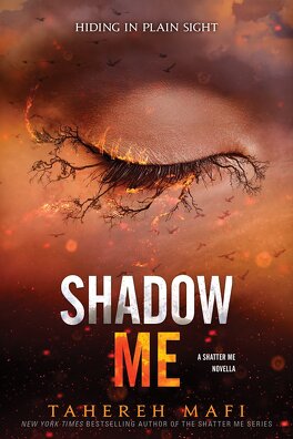 Couverture du livre Insaisissable - Saison 2, Tome 1.5 : Shadow me