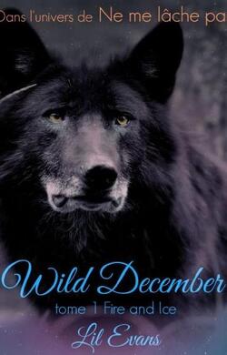 Couverture de Wild December, 1 : Fire and ice