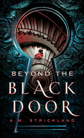Beyond the Black Door