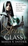 Glass, Tome 1 : Storm Glass