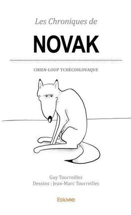 Les Chroniques De Novak Livre De Guy Tourreillesjean Marc