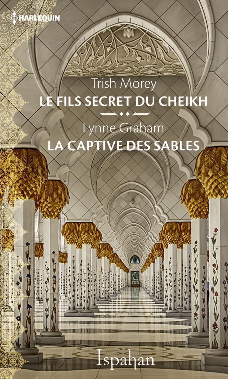 cdn1.booknode.com/book_cover/1277/full/secrets-d-orient-tome-2-le-fils-secret-du-cheikh-1277133.jpg