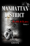 couverture Manhattan District : Au-delà de la peur, Tome 1