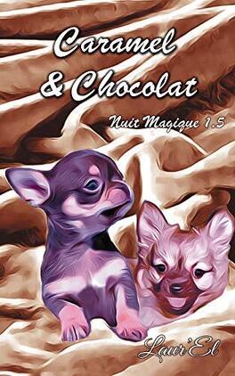 Nuit magique tome 1,5 Caramel-et-chocolat-nuit-magique-tome-1-5-1288375-264-432