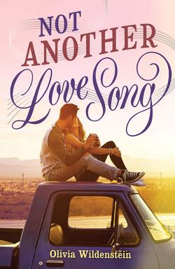 Couverture de Not Another Love Song