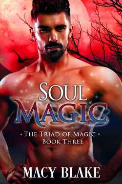 Couverture de The Triad of Magic, Tome 3 : Soul Magic