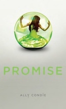 Promise, Tome 1
