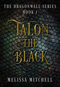Couverture de The Dragonwall, Tome 1 : Talon the Black