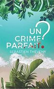 Les Enquêtes impromptues de Jérôme Bastaro et Colombe Deschamps, Tome 2 : Un crime parfait ?