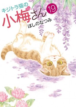 Plum Un Amour De Chat Tome 19 Livre De Natsumi Hoshino