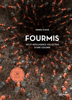 Couverture de Fourmis : Vie et intelligence collective d'une colonie