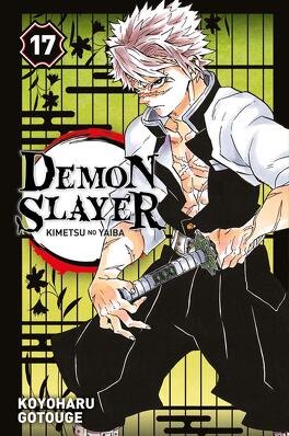 Demon Slayer, Tome 17