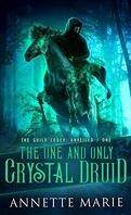 The Guild Codex: Unveiled, Tome 1: The One and Only Crystal Druid