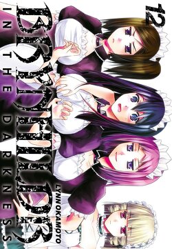 Couverture de Brynhildr In The Darkness, Tome 12