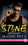 Wrecked, Tome 1 : Stone