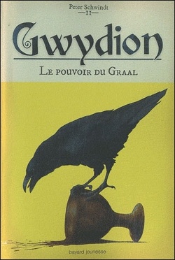 Couverture de Gwydion, tome 2 : Le pouvoir du Graal