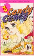 Candy Candy tome 3 : La Rencontre avec Terry