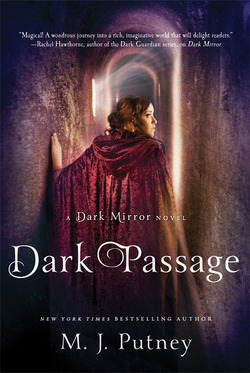 Couverture de Dark Mirror, Tome 2 : Dark Passage