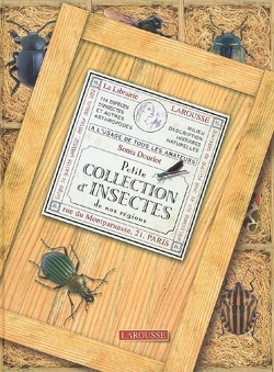Couverture de Petite collection d'insectes de nos régions