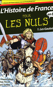 L'Histoire de France pour les Nuls en BD, tome 1 : Les Gaulois