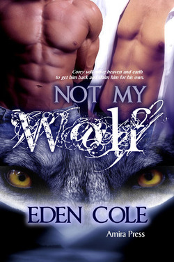 Couverture de Fenrir Wolves, Tome 1 : Not My Wolf