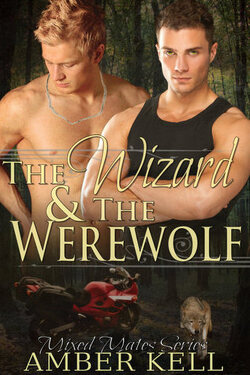 Couverture de Mixed Mates, Tome 1 : The Wizard & The Werewolf