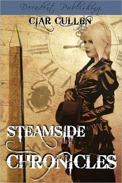Couverture de Steamside Chronicles