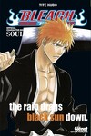 couverture Bleach – Official Character, Book 1 : SOULs