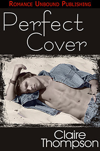 Couverture de The Perfect Cover
