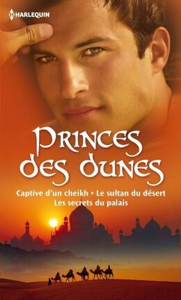 Couverture du livre : Princes des dunes