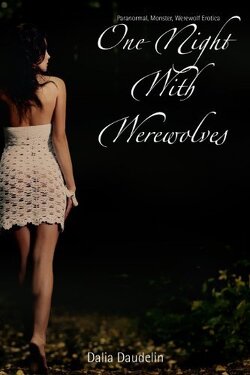 Couverture de One Night With Werewolves