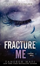 Insaisissable - Saison 1, Tome 2.5 : Fracture Me