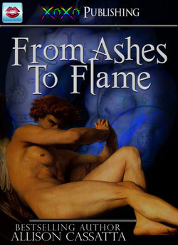 Couverture de From Ashes To Flame