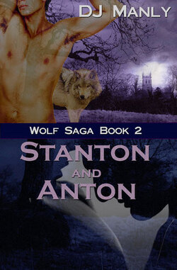 Couverture de Wolf Saga, Tome 2 : Stanton and Anton