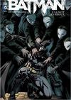 Batman, Tome 2 : La Nuit des hiboux